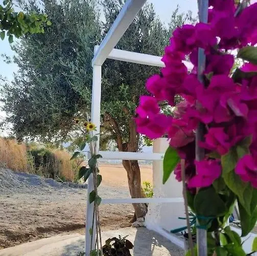 Anastasia's House Ysterni Σπίτι διακοπών *